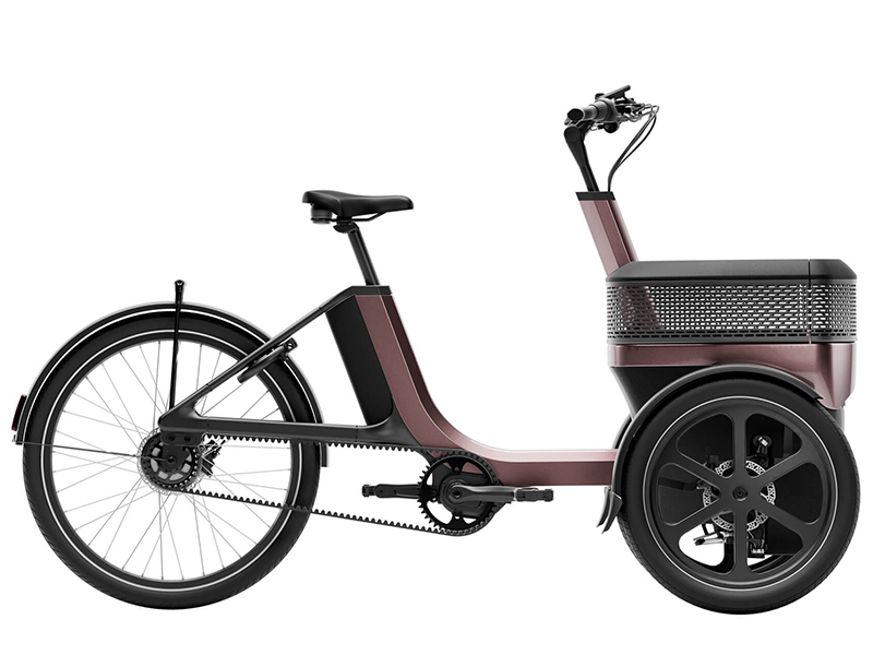 Triporteur électrique Thuja